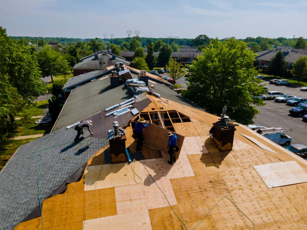 24/7 Emergency Flat Roof Repair experts in Leigh, NE